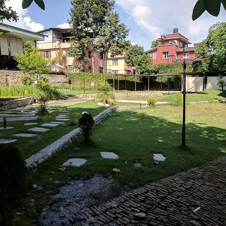 The Museum